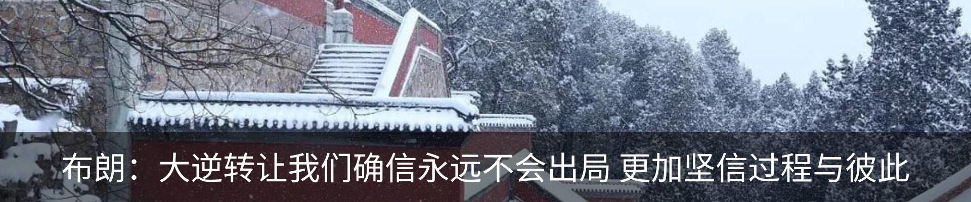 最新动态