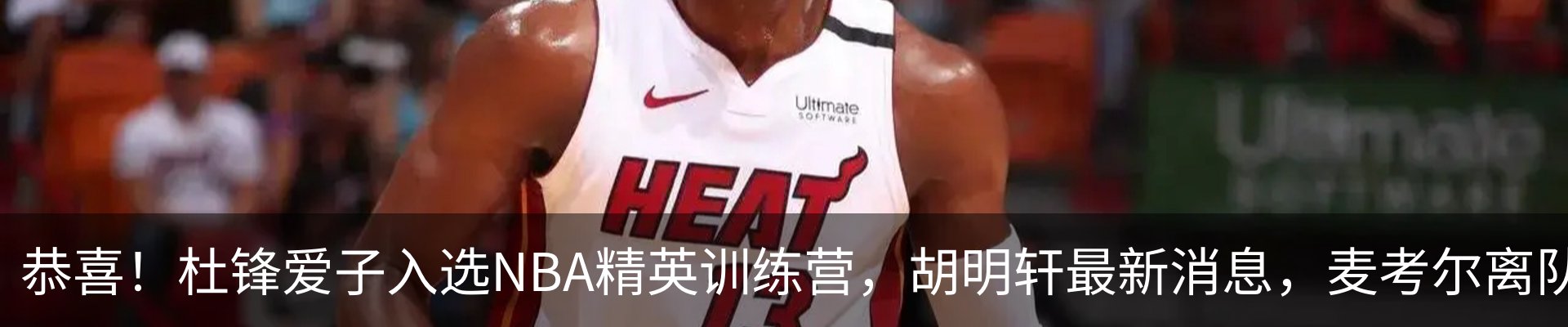 最新动态