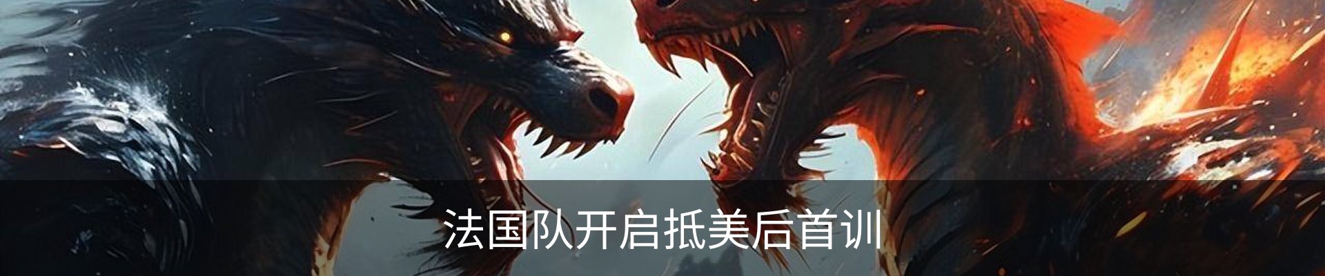 最新动态