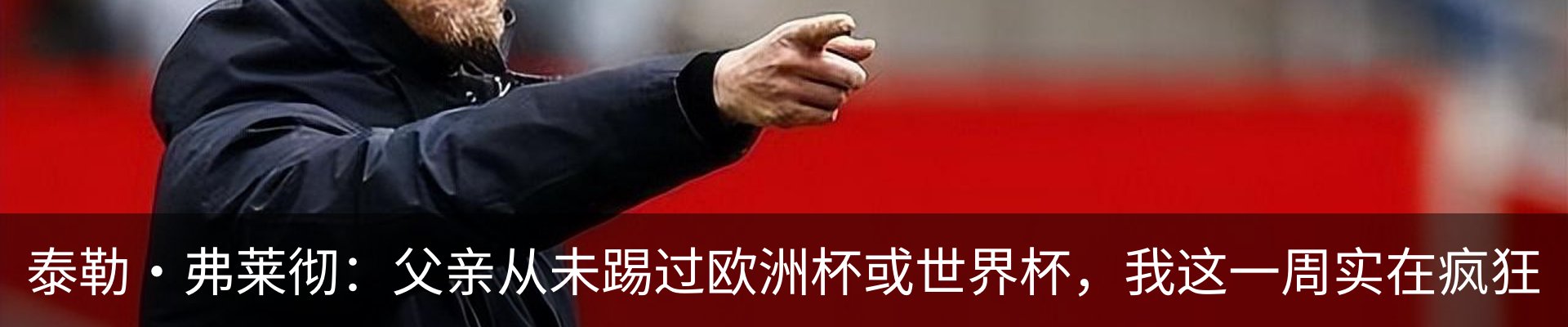 最新动态